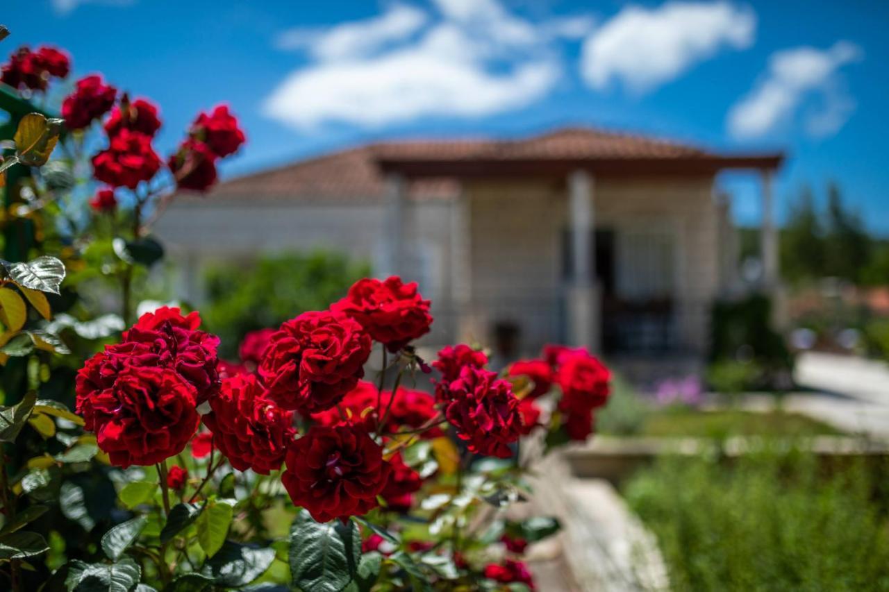 Sunny House Apartma *